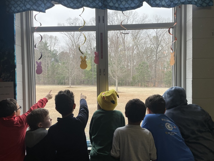 There was Snow much excitement on our first full day back! 