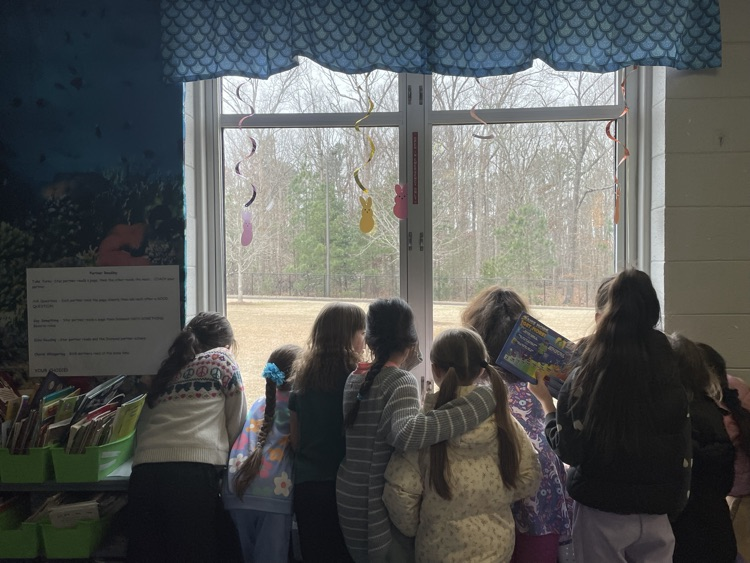 There was Snow much excitement on our first full day back! 