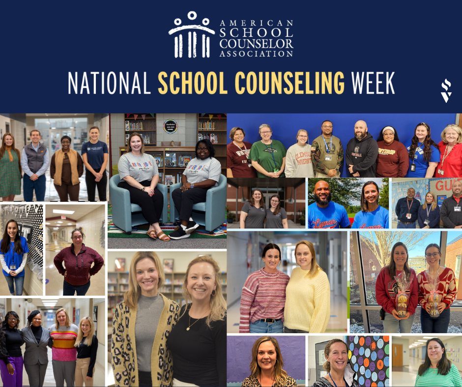 school counselor graphic