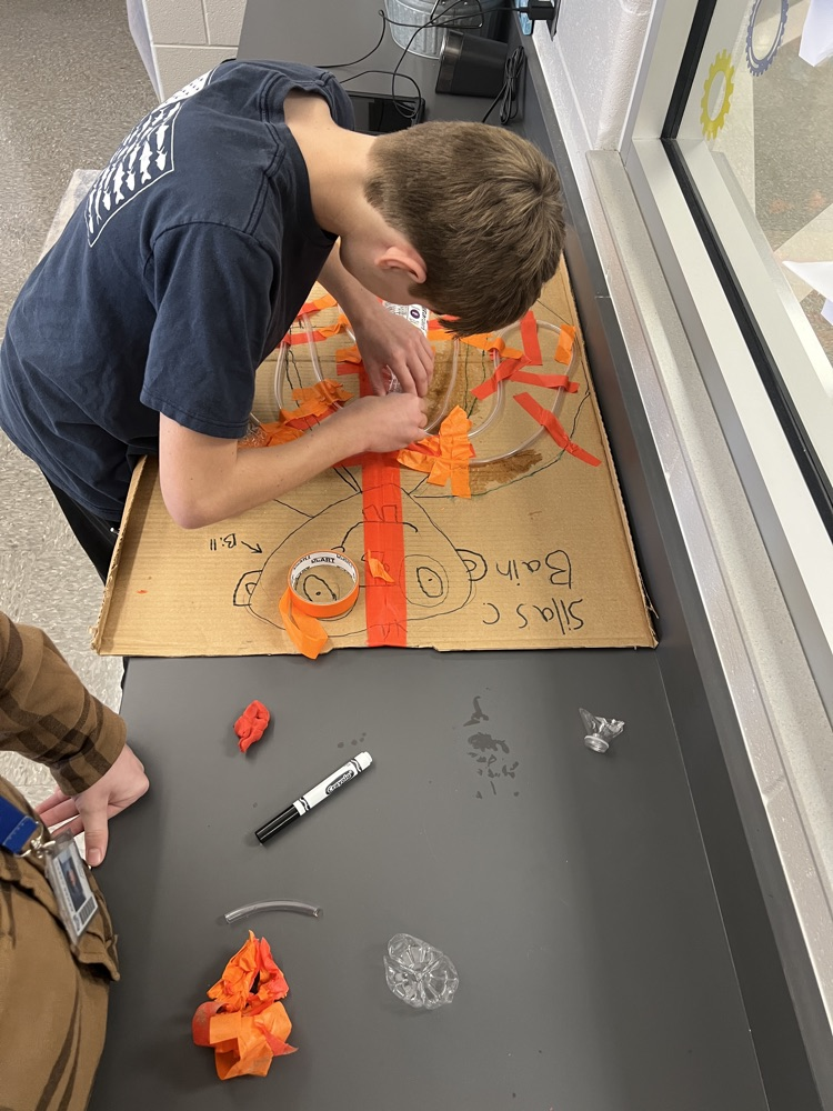 students in medical detectives class