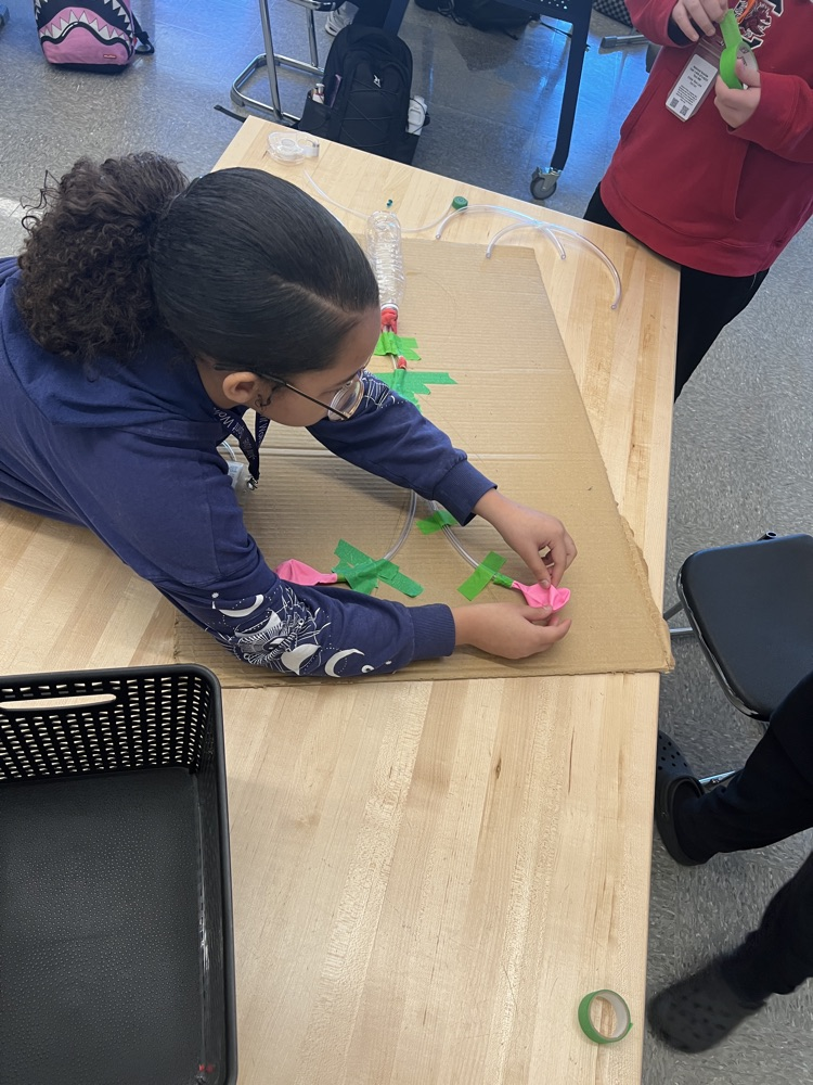 students in medical detectives class