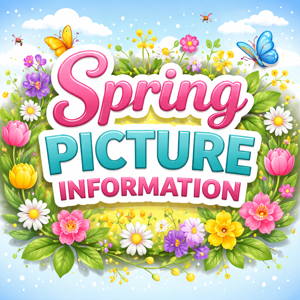 Spring picture information