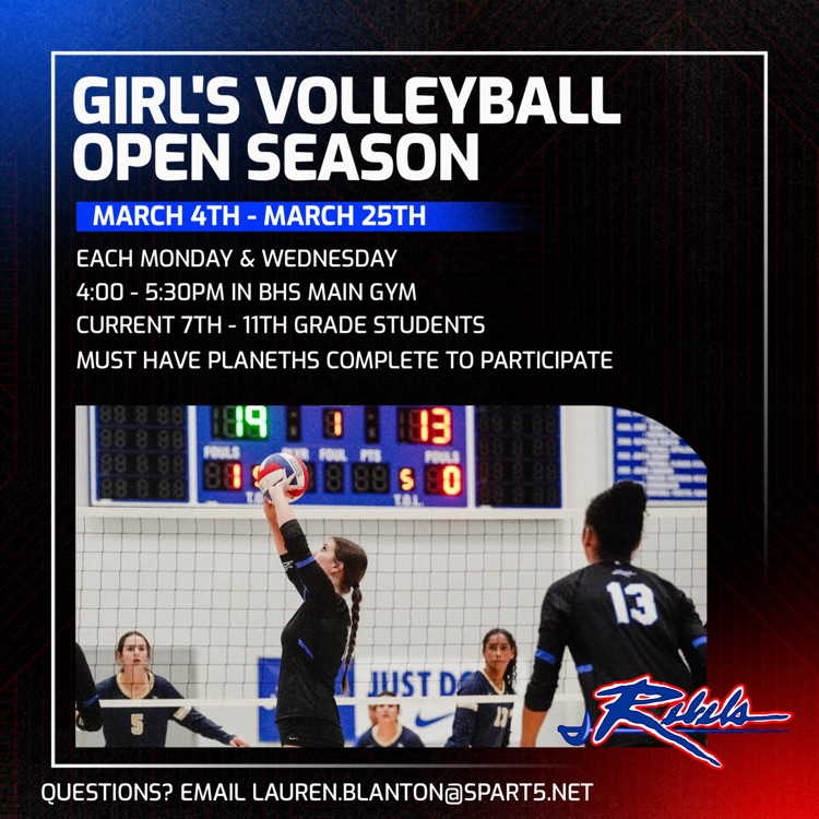 volleyball poster 