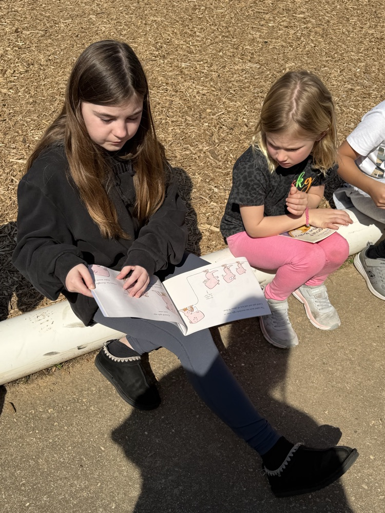 two classes reading together outside 