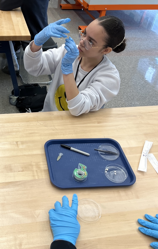 students in medical detectives 