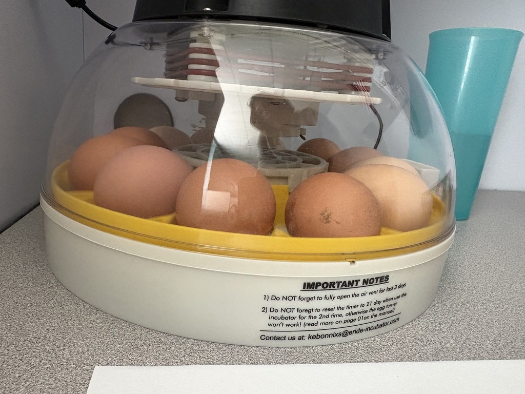 Bowles' Science Class 