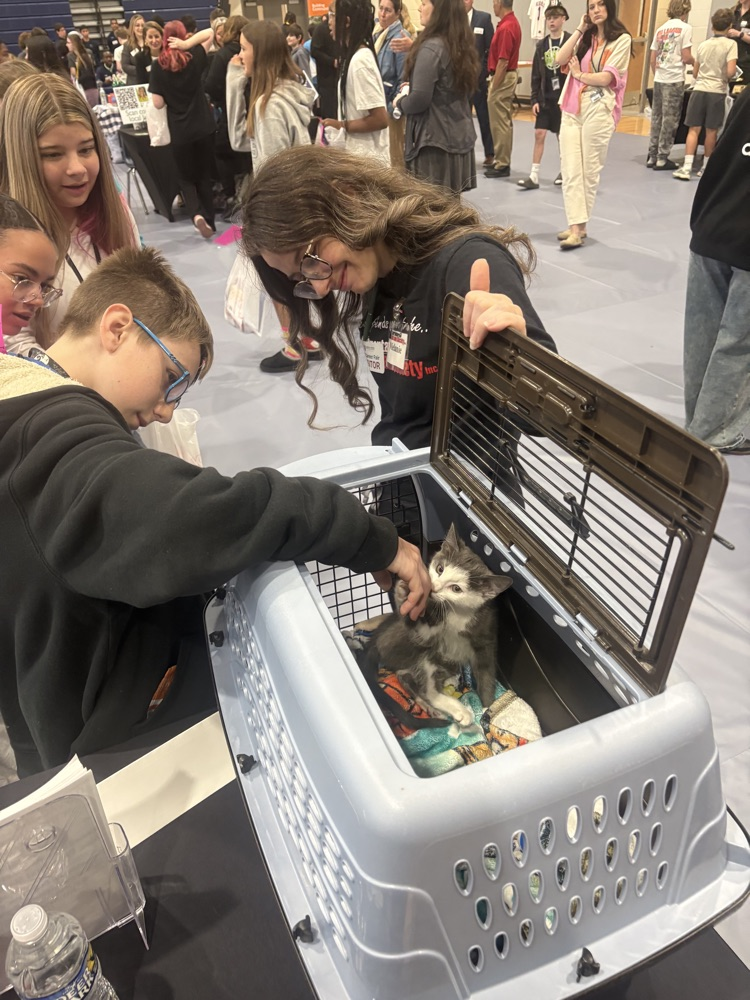 students at career fair