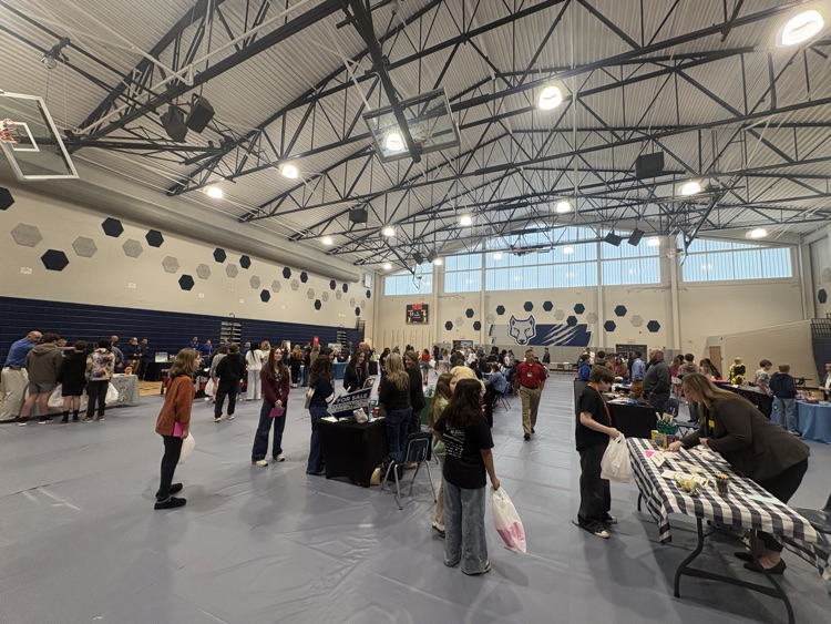 students at career fair