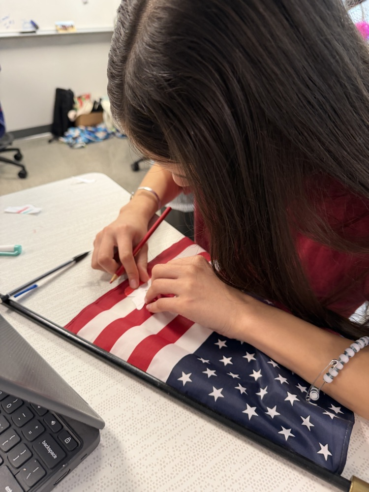 teachers finding camouflage butterflies