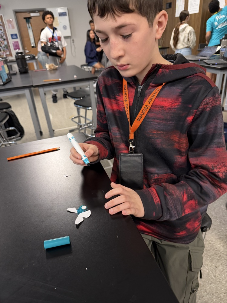 teachers finding camouflage butterflies