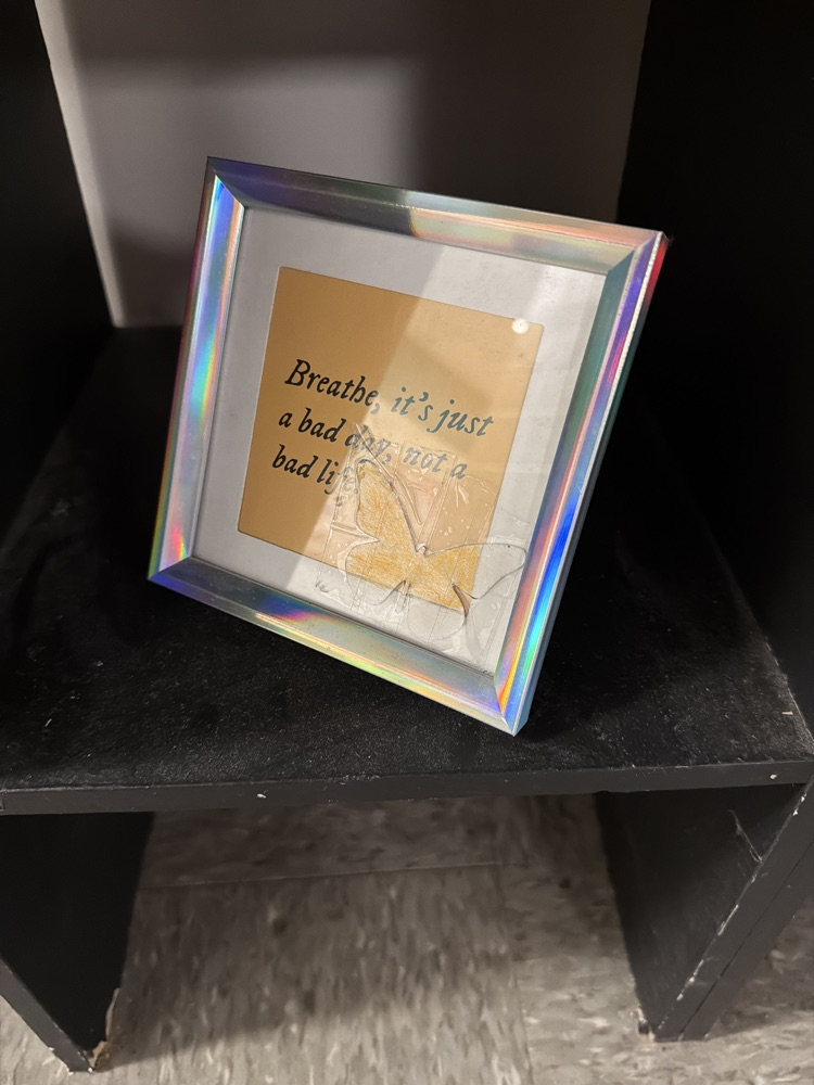 teachers finding camouflage butterflies