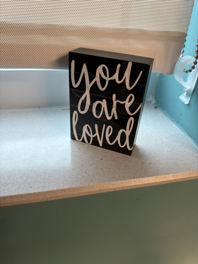 teachers finding camouflage butterflies