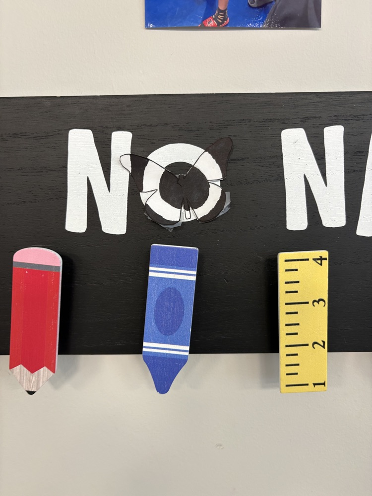 teachers finding camouflage butterflies