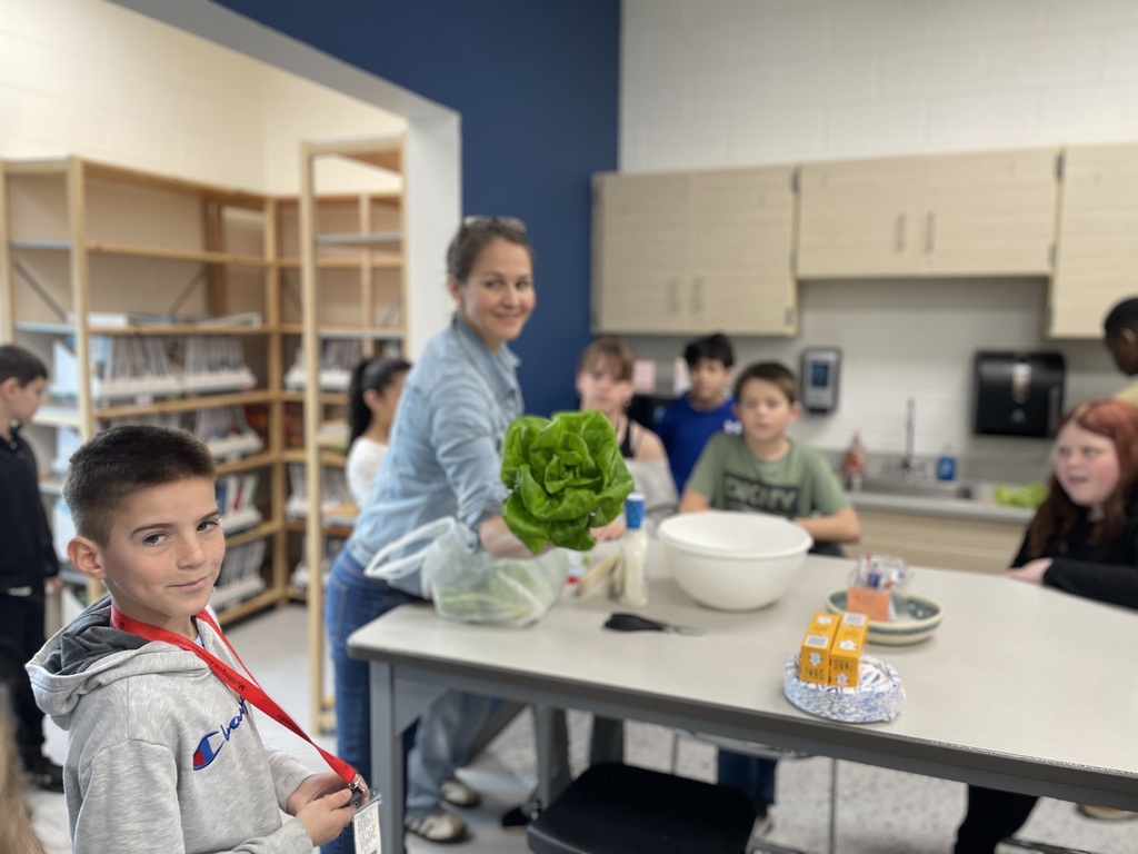 hydroponics plant harvest