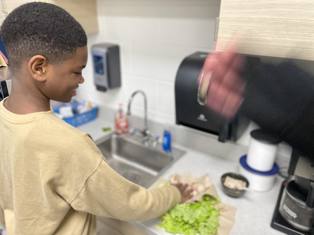 hydroponics plant harvest