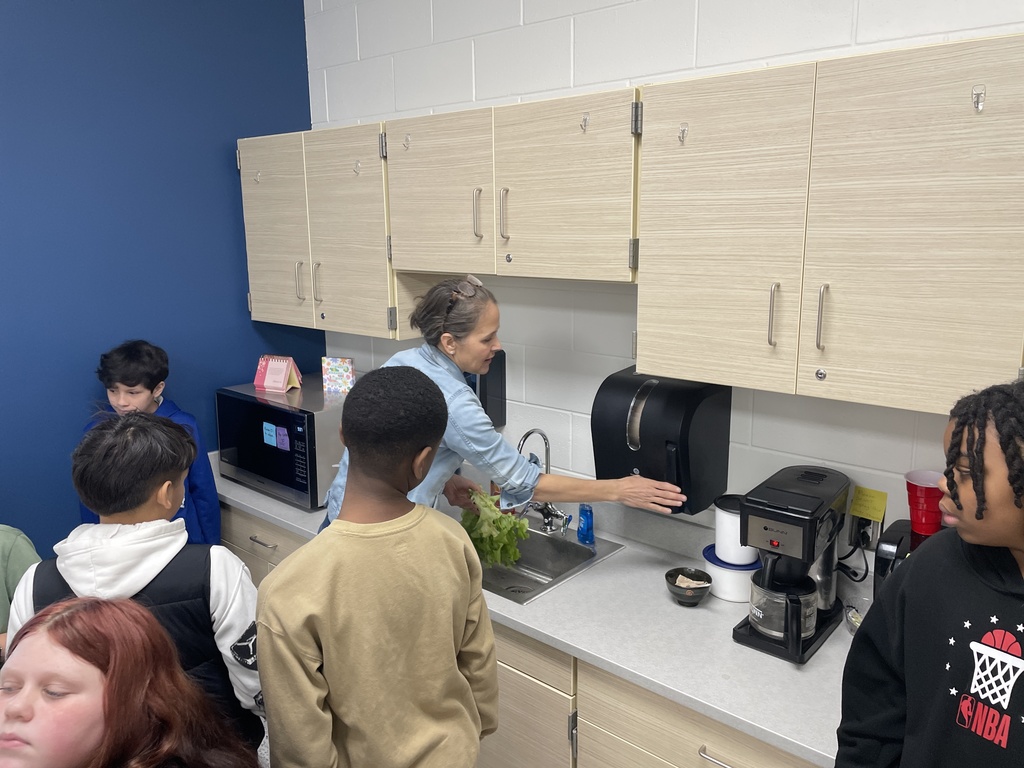 hydroponics plant harvest