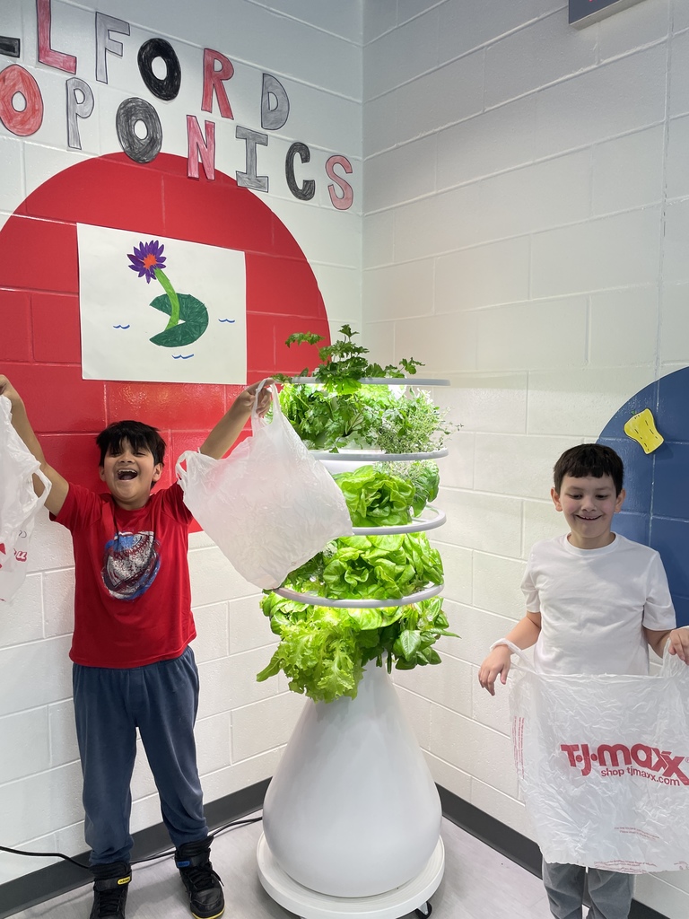hydroponics plant harvest