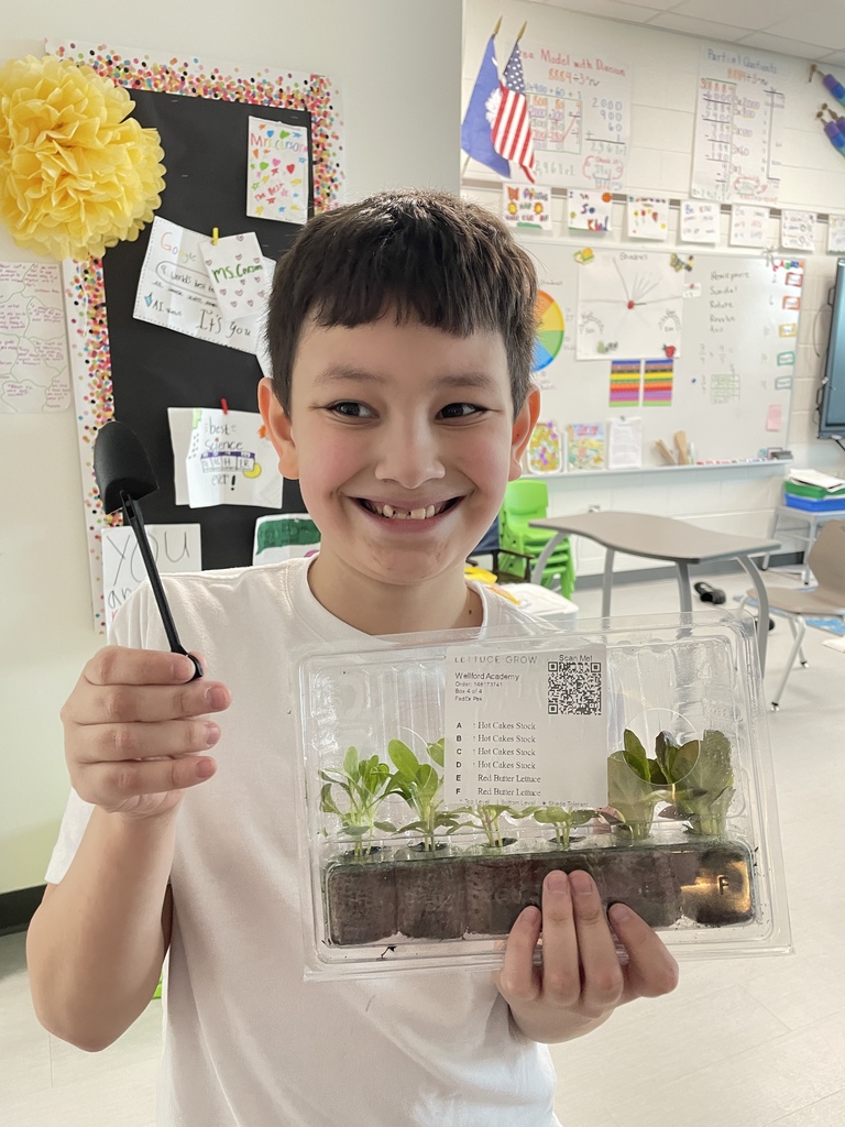 hydroponics plant harvest