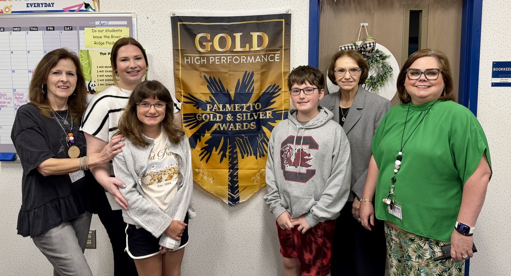 Palmetto Gold High Performance Award 2026