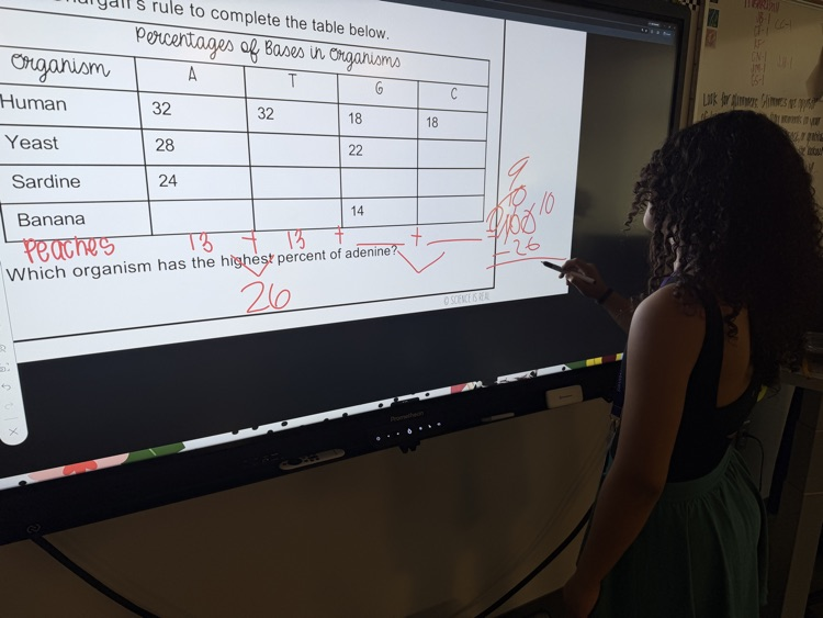 kids solving math on the board  