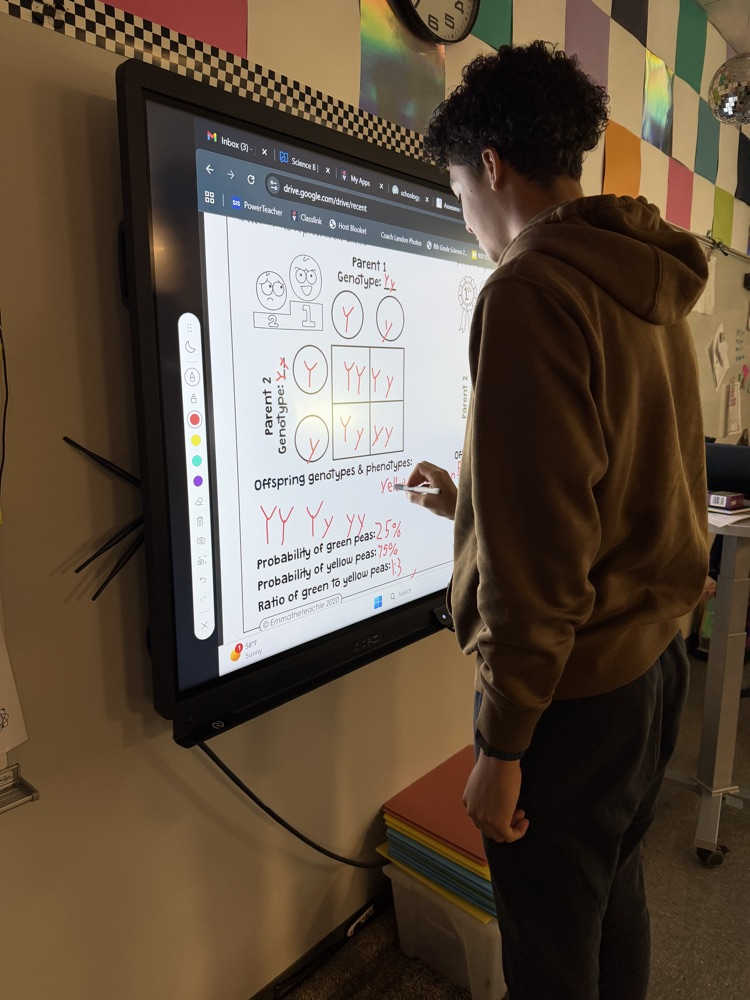 kids doing work at the board 