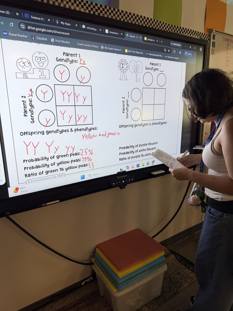 kids doing work at the board 