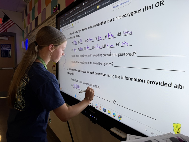 kids doing work at the board 