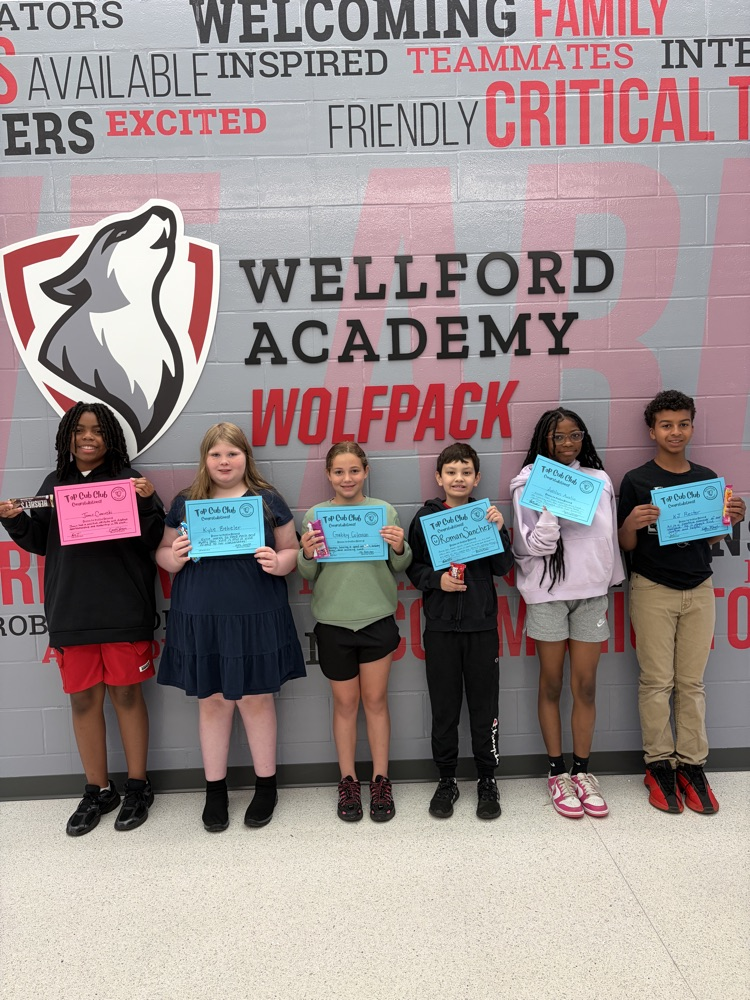 top cub club