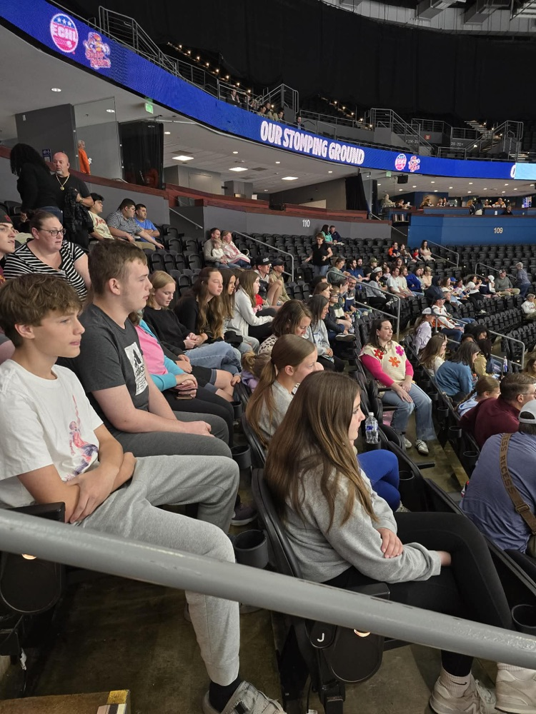 hockey game fun 