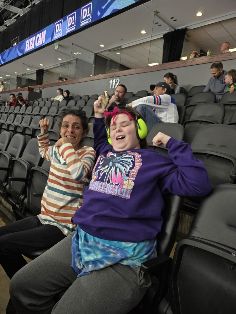 hockey game fun 