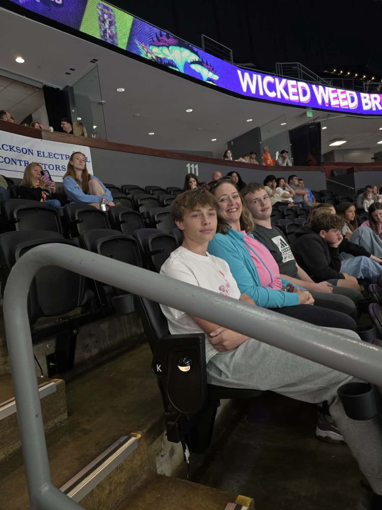 hockey game fun 