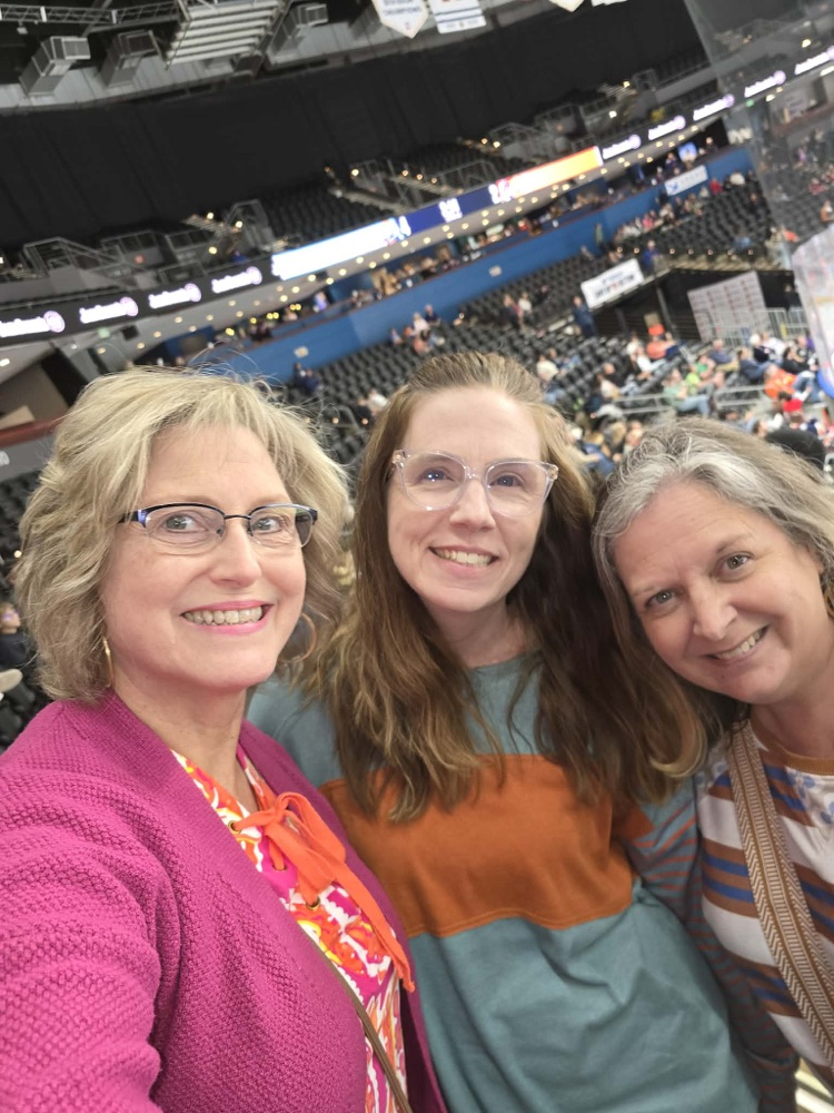 hockey game fun 
