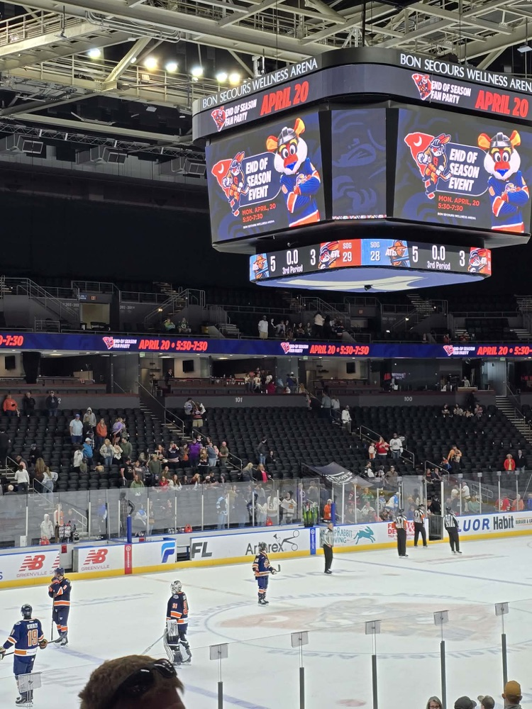 hockey game fun 