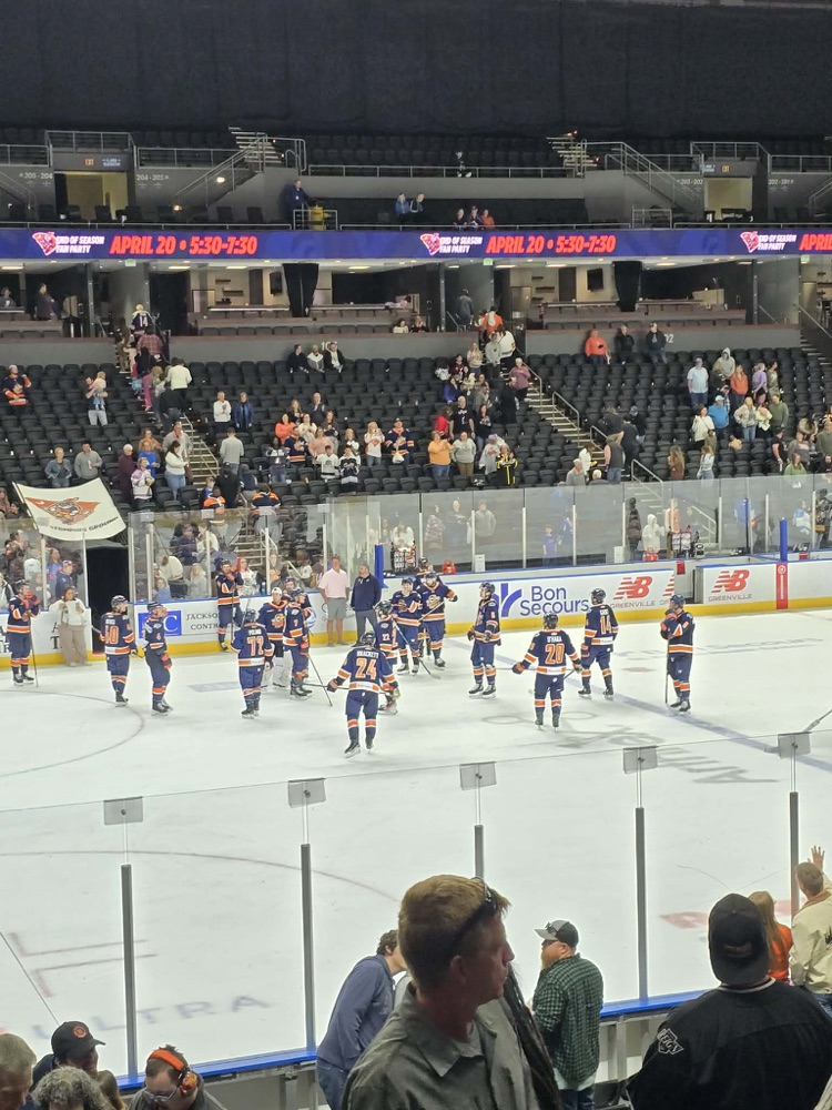 hockey game fun 