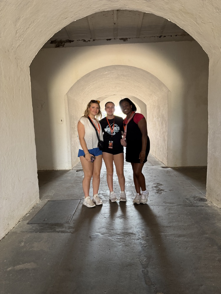 kids on a trip 