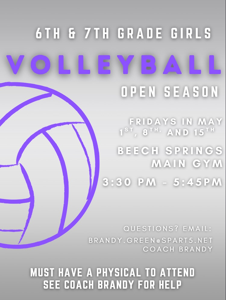 volleyball poster 