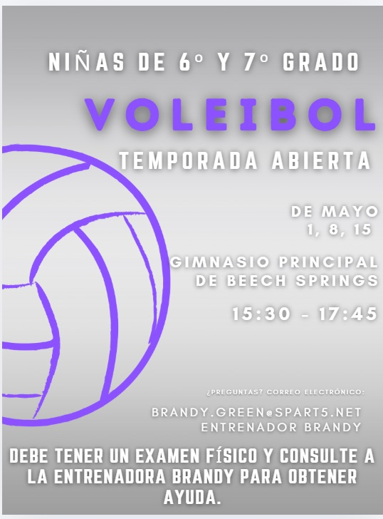 volleyball poster in Spanish 