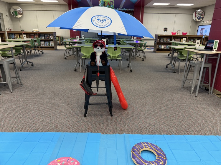 library pool party 