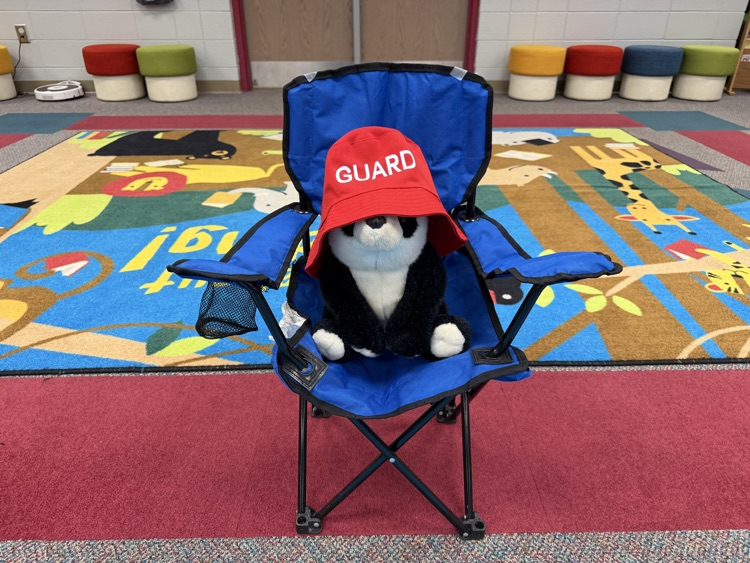 library pool party 