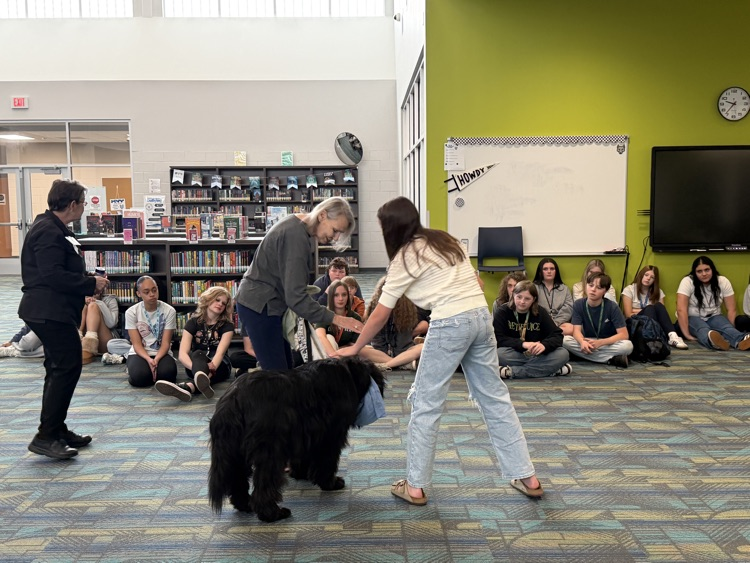 kids with dogs