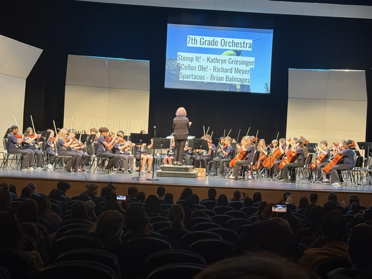 orchestra