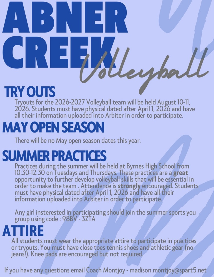volleyball flyer