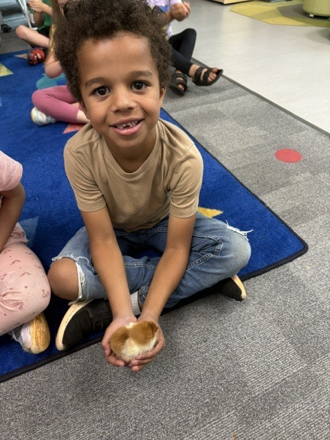 k5 chick visits
