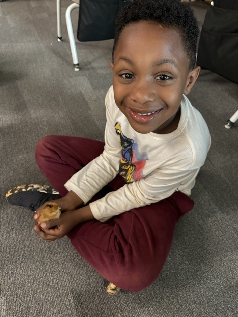 k5 chick visits