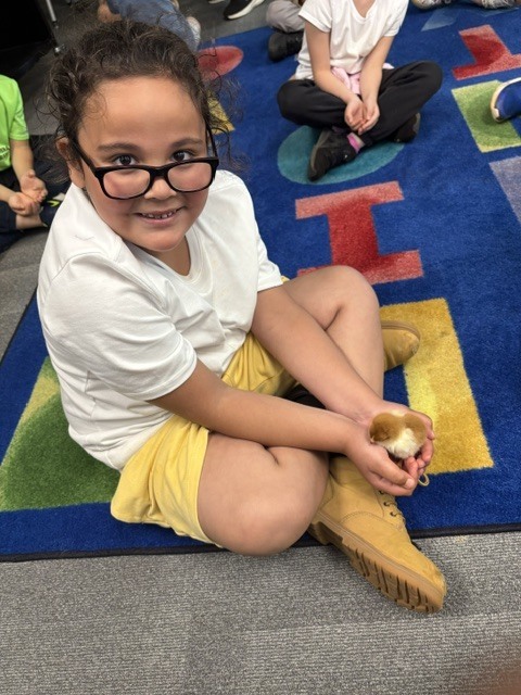 k5 chick visits