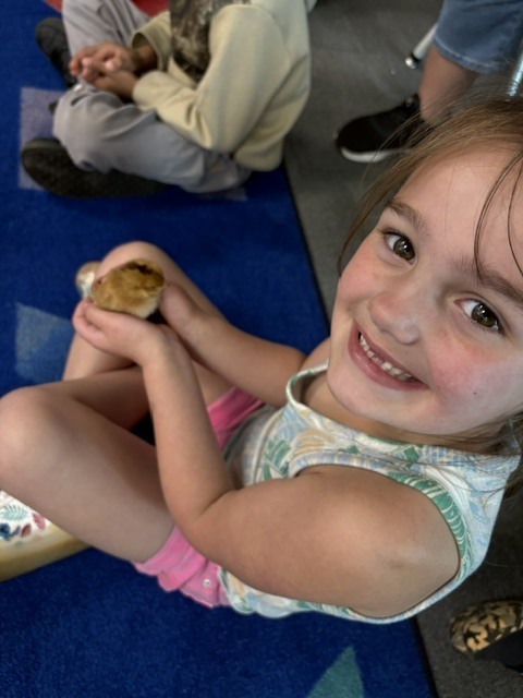 k5 chick visits