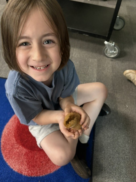 k5 chick visits