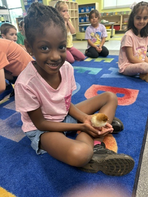 k5 chick visits