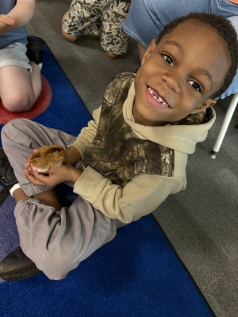 k5 chick visits