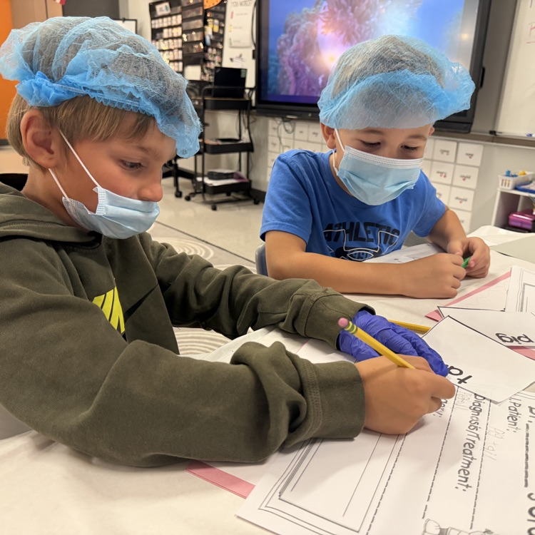 Students working in classroom